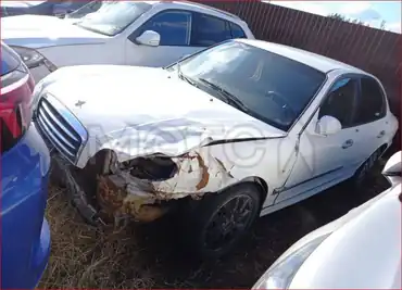 Hyundai Sonata, 2007 года, 137 лс