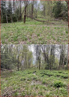 Земельный участок в Московской обл., 1001 +/- 22 кв.м. еще