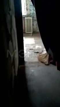 Квартира в Московской обл., 28,8 кв.м, 1 комн.