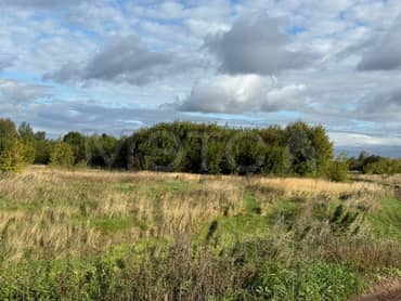 1/5 доля земельного участка в Татарстане еще