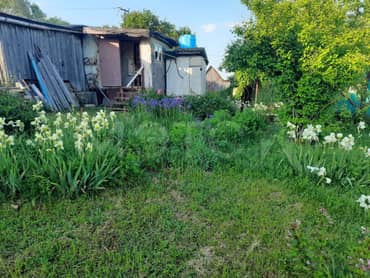 Здание 49,2 кв.м. и земельный участок 1200 кв.м. в Московской обл. еще