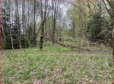 Земельный участок в Московской обл., 722 +/- 19 кв.м. еще