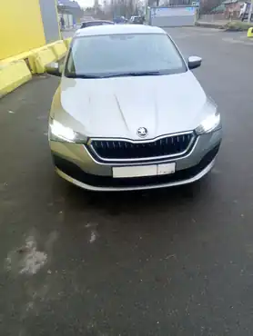 Легковой автомобиль марки: SKODA, модель: Rapid, год выпуска: 2021г., идентификационный номер (VIN): XW8AG2NH3MK118424. Имущество находится в залоге у ПАО Совкомбанк.