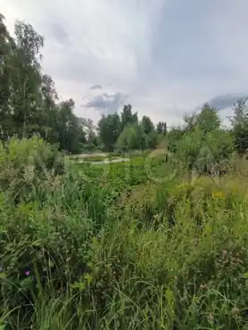 1/4 доля земельного участка в Московской обл.