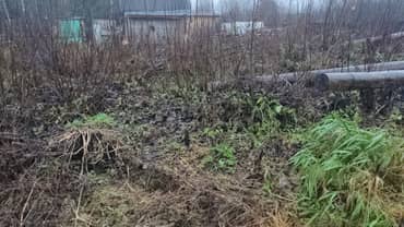 Земельный участок площадью 1100 кв.м., земли населенных пунктов, сельскохозяйственное назначении, расположенный по адресу: Ленинградская область, Лодейнопольский муниципальный район, Алеховщинское сельское поселение, садоводческое товарищество "Новинка", участок № 338 (кадастровый номер: 47:06:0724001:23)