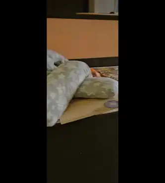 Жилое помещение, кадастровый номер 65:01:0602006:1093; 1/1 доля; г.Южно-Сахалинск, ул. Пуркаева М.А., д. 45, кв. 54; 49,8 м2