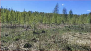 Земельный участок в Московской обл., 800 кв.м.