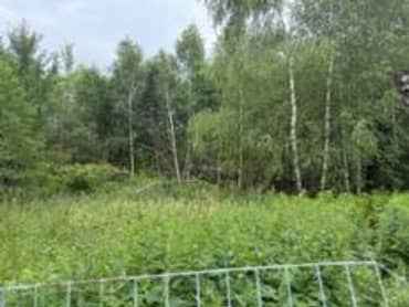 7 земельных участков по адресу Московская обл., р-н Истринский, с.пос Лучинское, ст. «Кедр», уч-к 12, 13, 20,21,22,23,24 (общая площадь 7 000 кв.м.)