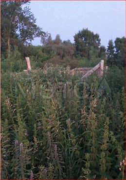 1/5 доля здания и 1/5 доля земельного участка в Татарстане еще