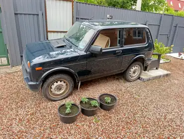 Автомобиль легковой, год выпуска 2023, марка LADA 4Х4, VIN: XTA212140R2504269.