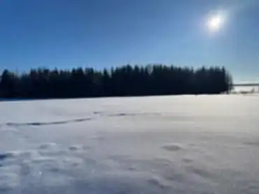 Лот №3, Земельный участок площадью 4 000 кв. м