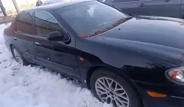 Легковой автомобиль марки: NISSAN, модели: MAXIMA 3.0 SE, год выпуска: 2004 г., кузов №: JN1CCUA33U0092504, идентификационный номер (VIN): JN1CCUA33U0092504