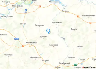 Земельный участок в Татарстане, 70000 кв.м