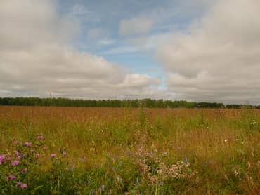 Лот №4, Шесть земельных участков общей площадью 1 765 300 кв.м. сельскохоз. назначения в Смоленской области.