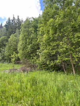 Лот №9, Земельный участок, категория земель: земли сельскохозяйственного назначения, вид разрешенного использования: для дачного строительства, площадь 1138 кв. м, кадастровый номер: 50:27:0020609:29, Московская обл., Подольский р-н, с/пос. Лаговское, вблизи дер. Бородино, ДНП "СК ОТО", уч. 5